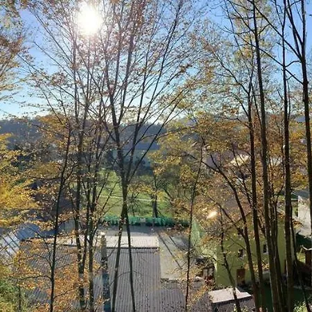 Πανσιόν Pod Skalkou 3*