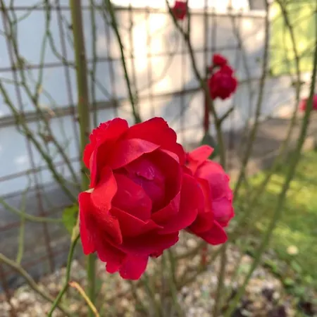 Pod Skalkou DolnyKubin